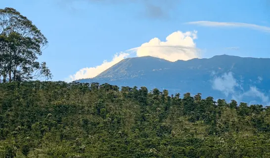 Foto Juan Viñas